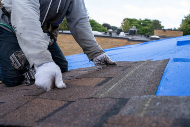 Residential Roof Replacement in Sardis City, AL